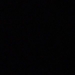 Meet your Posher, Rose